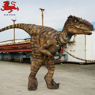 Animatronisches Velociraptor-Kostüm, künstliches Erwachsenen-Dinosaurier-Kostüm