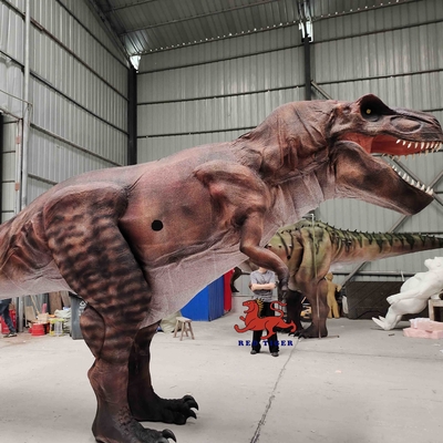 Traje de dinosaurio realista del museo sonidos largos de la edad adulta de los 8m modificados para requisitos particulares