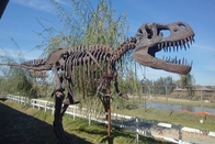 Golden Plated Complete Dinosaur Fossil Dino Skeleton For Amusement Park