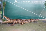 Normal Size Animatronic Animals , Realistic Electric Crocodile Ride