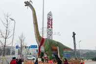 Shopping Mall Realistic Animatronic Dinosaur Brachiosaurus Custom Support