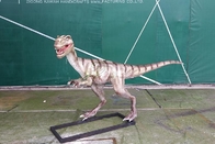 Realistic Coelurosaurs Dinosaur Lawn Statue Snow Proof For Festival Exhibition
