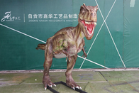 Simulation Life Size Dinosaur Models For Show Museum Customization Acceptable