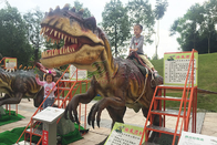 Attractive Animatronic Dinosaur Ride Coin / Remote Control / Battery Operated