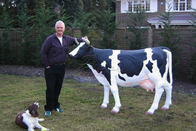 Sun Proof Lifelike Animatronic Animals / Milk Cow Customization Acceptable