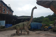 Customized Outdoor Animatronic Stage Simulation Dinosaur For Amusement Park