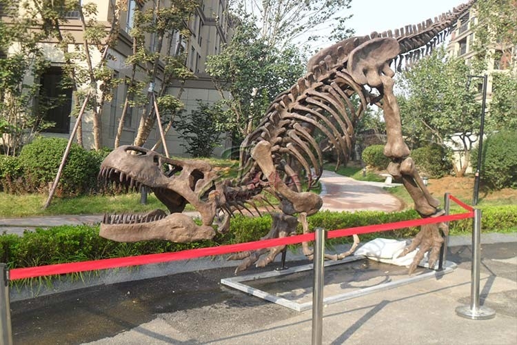 Golden Plated Complete Dinosaur Fossil Dino Skeleton For Amusement Park