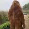 Erwachsenes Gorilla-Kostüm Realistischer Gorilla-Anzug für Themenpark