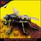 Big Bugs Animatronic Insektenmodelle Fliegen Kinderalter Infrarotsensorsteuerung