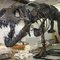 Replica dello scheletro di dinosauro da interno, età giovanile, 12 mesi di garanzia