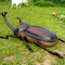 Αντηλιακό γλυπτό Animatronic Insects Customized With Movement / Sound Customization