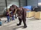 Adult Size Realistic Dinosaur Costume Lightweight Breathable