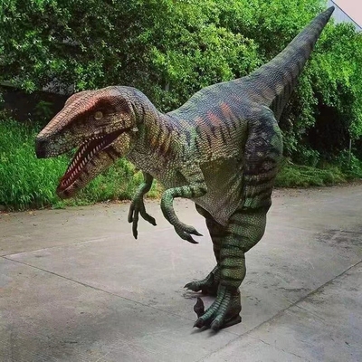 Dinosaurio Raptor traje de dinosaurio real para la venta