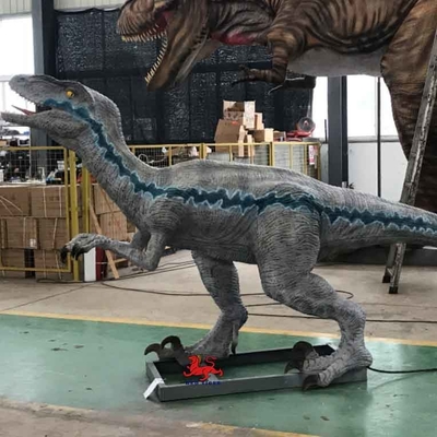 Life Size Realistic Animatronic Dinosaur Velociraptor Model Theme Park Dinosaur