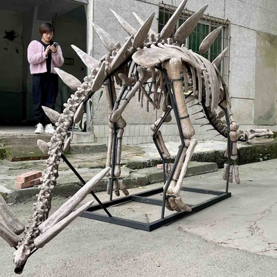 Exhibition Jurassic Park Dinosaur Skeleton , Dinosaur Bone Replicas