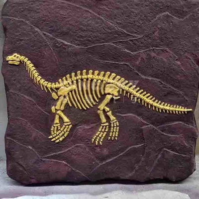 Replika szkieletu dinozaura na zewnątrz Model naturalnej wielkości Zgodny z dyrektywą RoHS