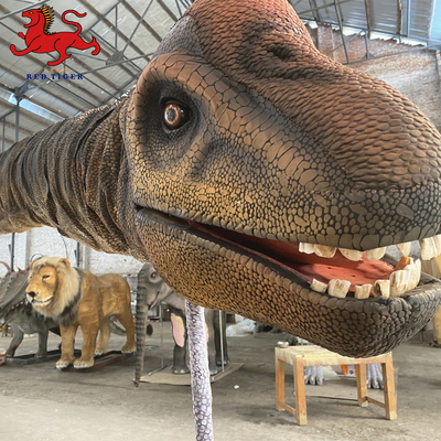 Indoor realistische dinosaurus hoofd muurbevestiging decoratieve maat aangepast