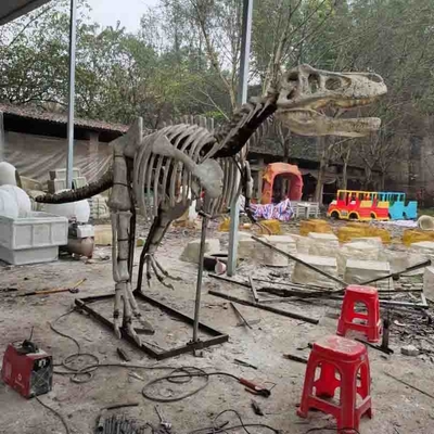Outdoor / Indoor Life Size Dinosaur Skull Replica , Dinosaur Fossil Replicas