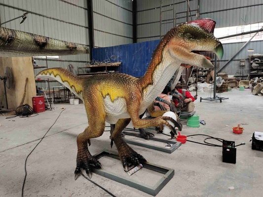 Adult Theme Park Realistic Dinosaur Robot Animatronic Velociraptor