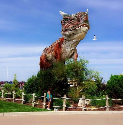 Remote Control/Sensor Moniter Theme Park with Rechargeable Battery