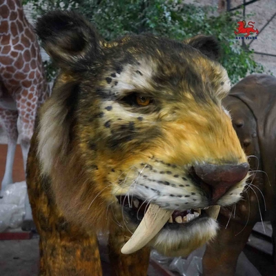 Buy Full Size Animatronic Saber Toothed Cat Weatherproof For Theme Park online manufacture