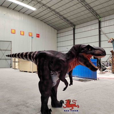 Καλή τιμή. Προσαρμοσμένη στολή Real Life T Rex, Εσωτερική στολή Tyrannosaurus σε απευθείας σύνδεση