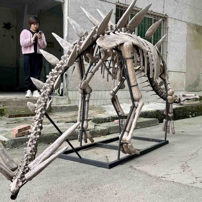 Un buon prezzo. Mostra Scheletro di dinosauro di Jurassic Park, repliche di ossa di dinosauro in linea