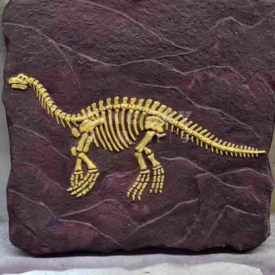 Un buon prezzo. Modello di replica dello scheletro di dinosauro all'aperto a grandezza naturale approvato RoHS in linea