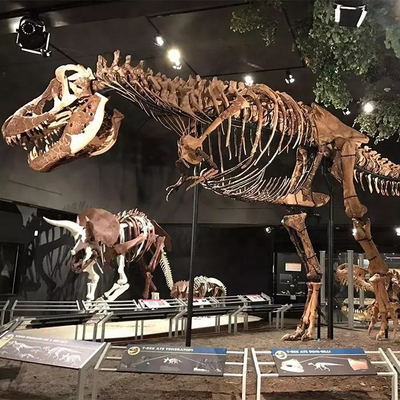 comprar Réplica de esqueleto de dinossauro resistente às intempéries / Réplicas de osso de dinossauro online manufacture