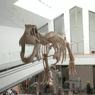 Beli Replika Kerangka Dinosaurus Remaja Umur 12 Bulan Garansi online manufacture