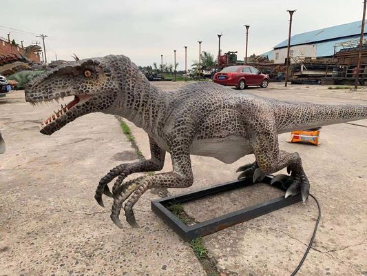 Goede prijs. Levensgrote realistische animatronic dinosaurus Velociraptor model pretpark dinosaurus online