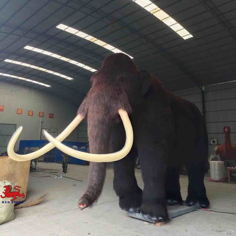 Size Custom Realistic Animatronic Animals Mammoth Model Adult Age