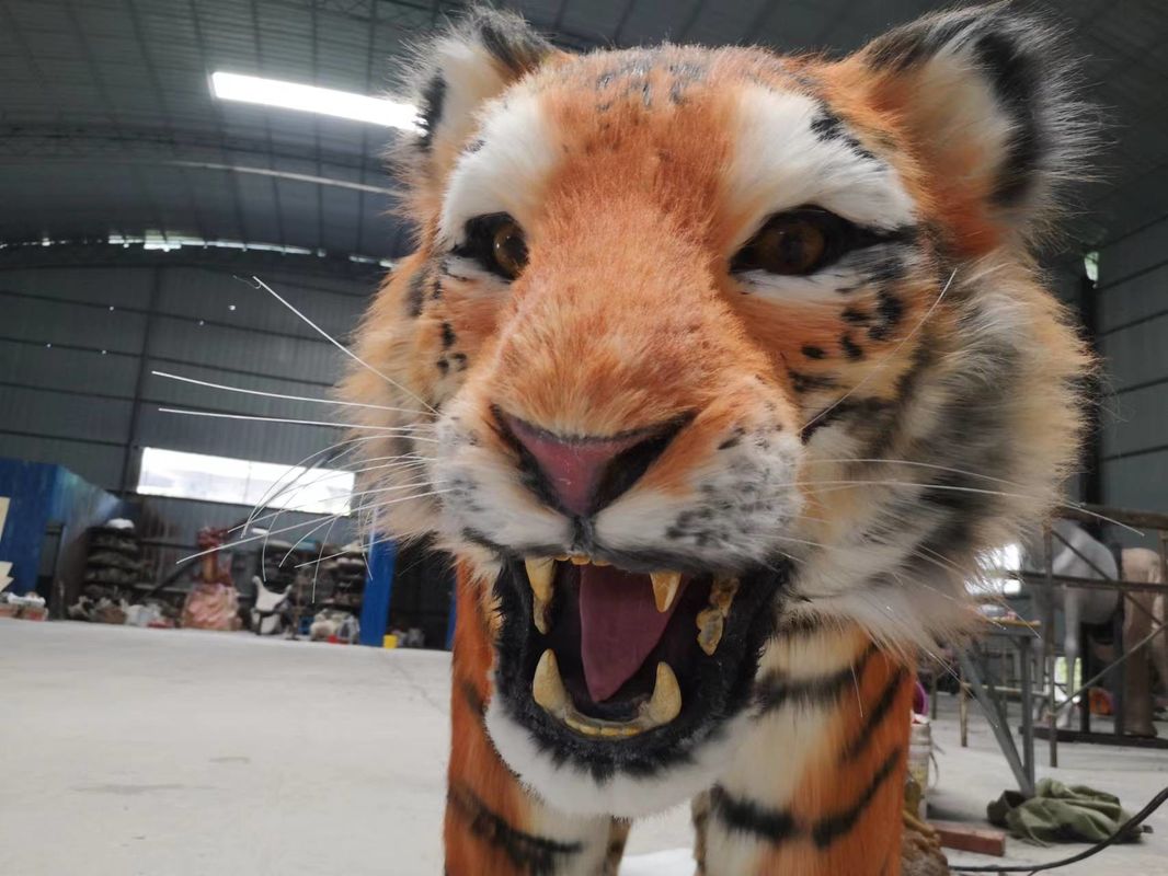 Realistic Color Animatronic Tiger Model Weather Resistant Adult Age