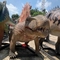 Sunproof Realistic Animatronic Dinosaur 4m Dimetrodon Statue For Theme Park