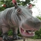 Animatronic Hippopotamus , 4m Full Size Hippo For Amusement Park
