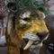 Full Size Animatronic Saber Toothed Cat Weatherproof For Theme Park