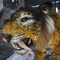 Full Size Animatronic Saber Toothed Cat Weatherproof For Theme Park