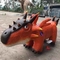 Remote Control Animatronic Dinosaur Ride Windproof For Theme Park