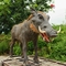 Customized Realistic Animatronic Animals Wild Boar Model With Alive Roaring Sound