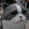 Life Size Realistic Animatronic Cat ,  Interactive Talking Lovely Cat