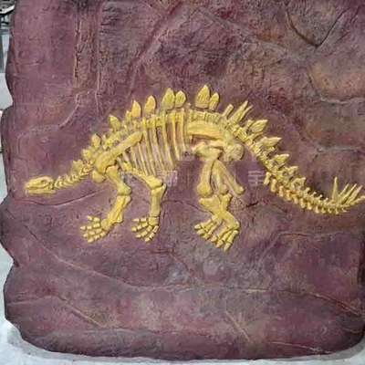 Repliche fatte a mano del dinosauro del museo, età giovanile della replica del cranio di Dino