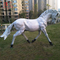 Custom Animal Resin Statues Animatronic Life Size Horse Sculptures
