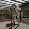 Shopping Mall Dinosaur Skeleton Replica Size Customizable Dinosaur Skull Fossil