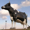 Realistic Animal Statue Waterproof Life Size Cow Sculpture Customized Available