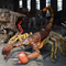 Sunproof Animatronic Insects Sculpture Customized With Movement / Sound Customization