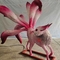 Electronic Handcrafted Realistic Creatures Chinese Mythology Animal Nine Tailed Fox
