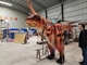 Adult Carnotaurus Hidden Leg Dinosaur Costume Model