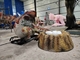 Park rozrywki dla dorosłych Realistyczny robot dinozaura Animatronic Velociraptor
