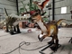 Adult Theme Park Realistic Dinosaur Robot Animatronic Velociraptor