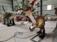 Water Park Electric Dinosaur Equipment Life Size Simulation Dinosaur Decoration